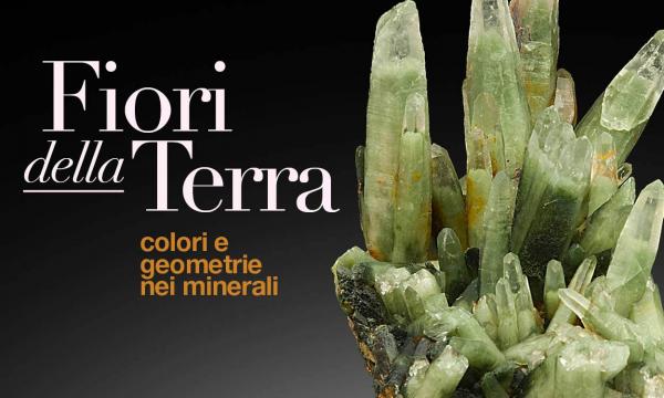 Paleontologia, mostra Fiori della Terra: colori e geometrie nei minerali