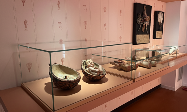 Convegno, Intorno al restauro dei modelli anatomici scomponibili del Museo La Specola: valorizzare la tutela