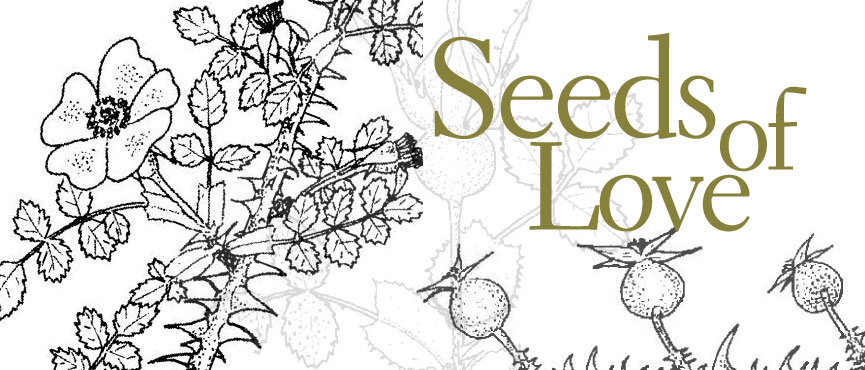 Orto botanico e Scervino per la biodiversità