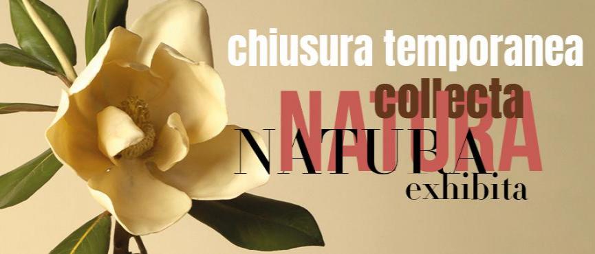 Percorso dedicato al collezionismo naturalistico