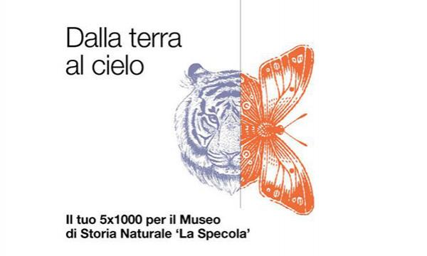 5x1000: scegli Università di Firenze e sostieni il Museo 