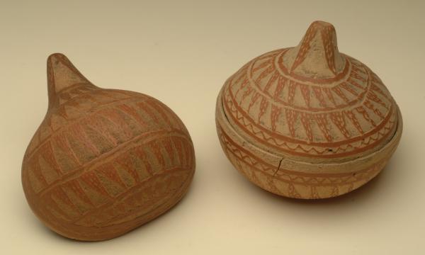 Antropologia, presentazione del libro sul Cile Mapuche e visita alle collezioni