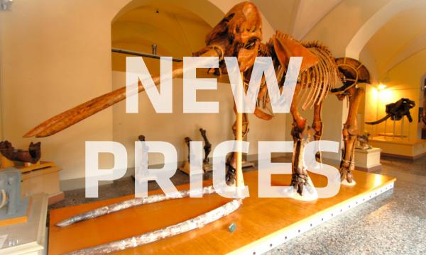 Museum Tickets: Updated Admission Prices and Discounts