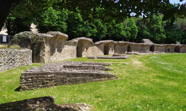 Biodiversità vegetale all’Anfiteatro romano di Arezzo