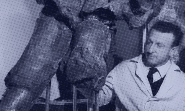 Per Augusto Azzaroli, padre della moderna Paleontologia