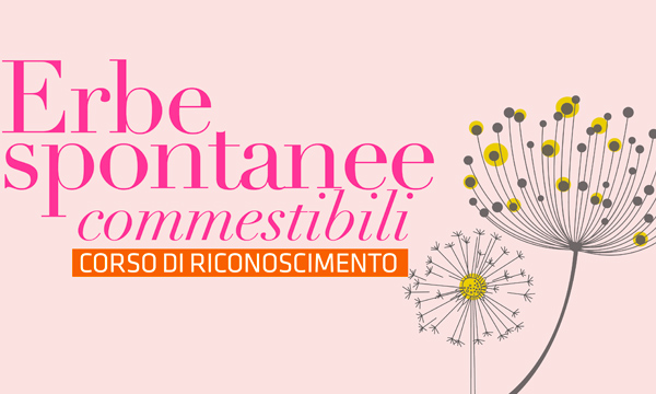 Corso di riconoscimento delle erbe spontanee commestibili