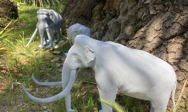 Orto botanico, un'esposizione tattile di Animali estinti 