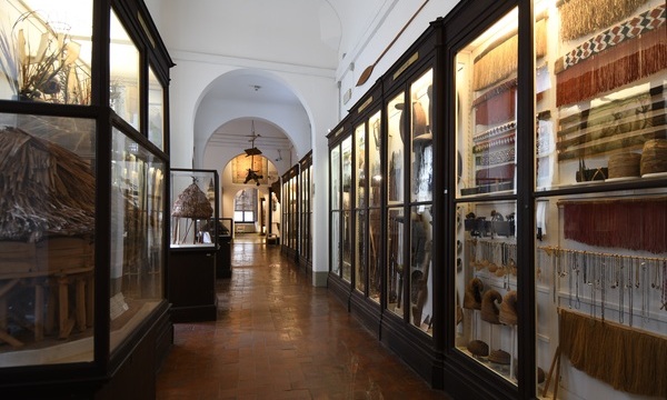 International Museum Day 2026: Museums Uniting a Divided World