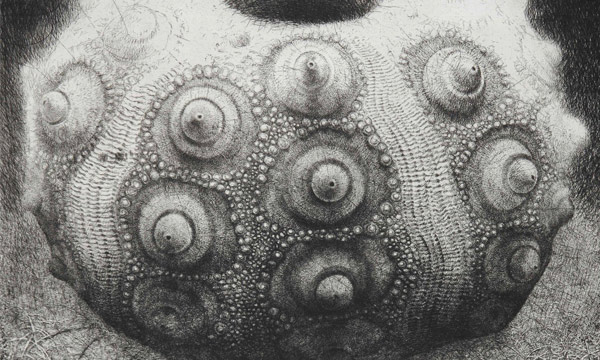 La Specola, in mostra le incisioni dell&rsquo;artista Patrizio Di Sciullo