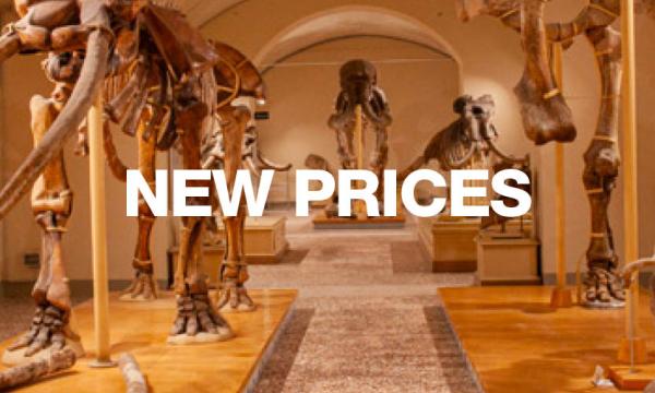 Museum Tickets: Updated Admission Prices and Discounts.