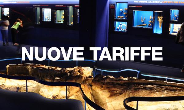 Biglietti musei, aggiornamenti prezzi e scontistiche