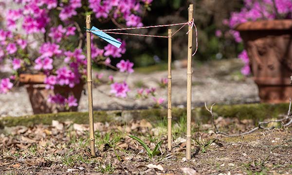 Orto botanico, visita guidata alle orchidee spontanee