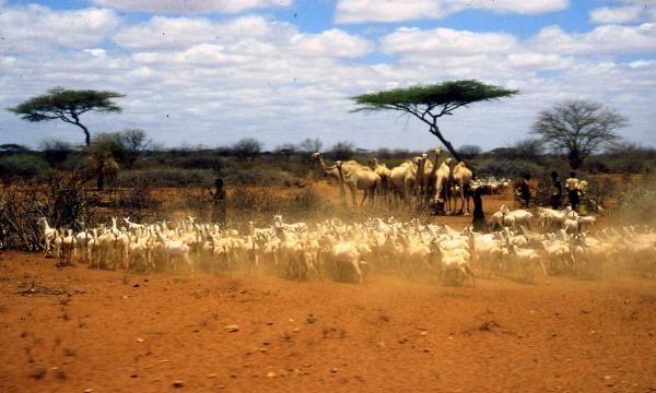 La Specola, Un nomade in cammino. Presentazione del libro di Marco Borri