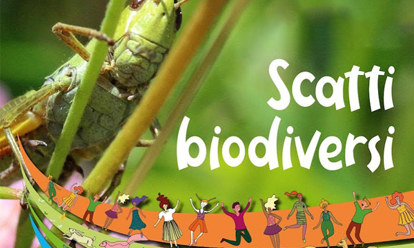 Scatti biodiversi. Premiazione del concorso fotografico