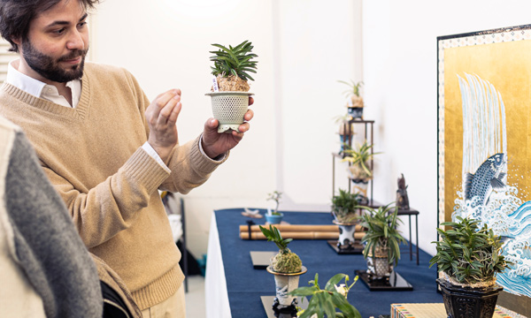 Orto botanico, esposizione 'Giappone in vaso'.