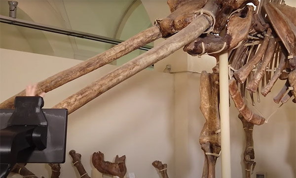 Al Museo di Geologia e Paleontologia con l'avatar