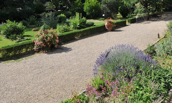 Bellezza, citizen science e tutela della biodiversità in Orto botanico