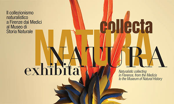 Natura Collecta, Natura Exhibita