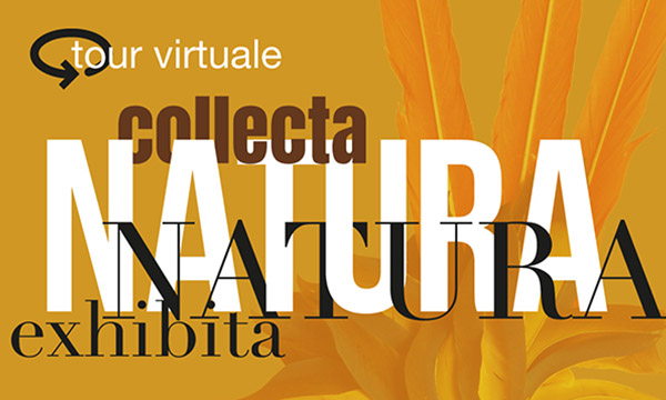 Una visita online immersiva di Natura Collecta, Natura Exhibita