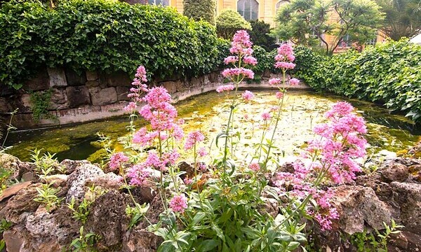 Orto botanico, Alla scoperta di piccole meraviglie naturali, attivit&agrave; per famiglie.