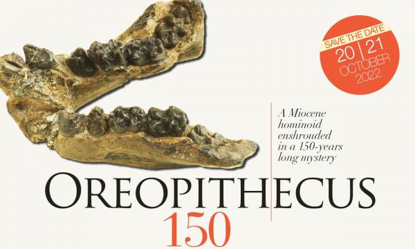 Oreopithecus150: the International Conference