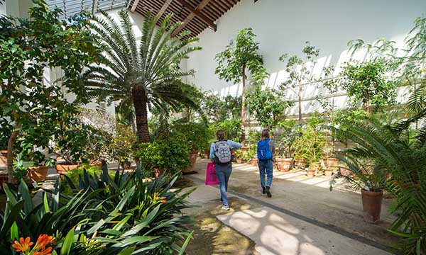 All'Orto botanico, EDEN: gioco-laboratorio nelle Serre