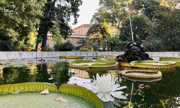 L'Orto botanico riapre al pubblico dopo i danni causati dal maltempo