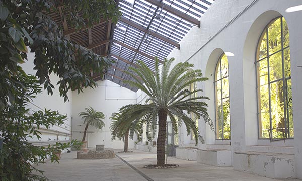 Orto botanico, mostra 'Renaissance sauvage' di Tatiana Chafcouloff