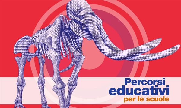 Attività per le scuole