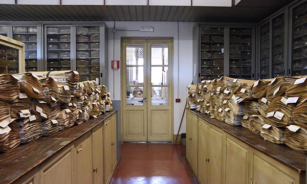 the Herbarium