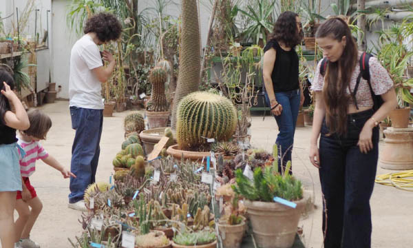 Orto botanico