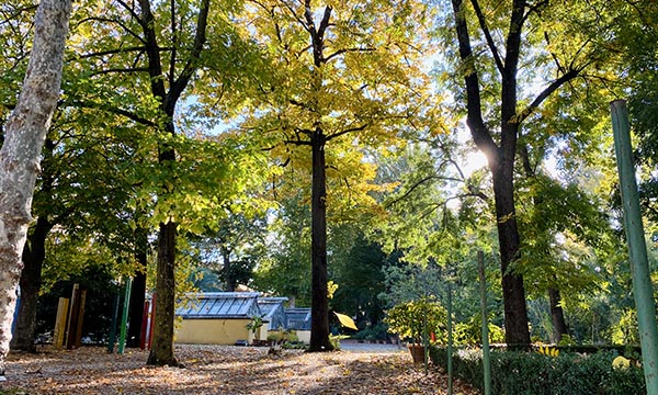 Orto botanico