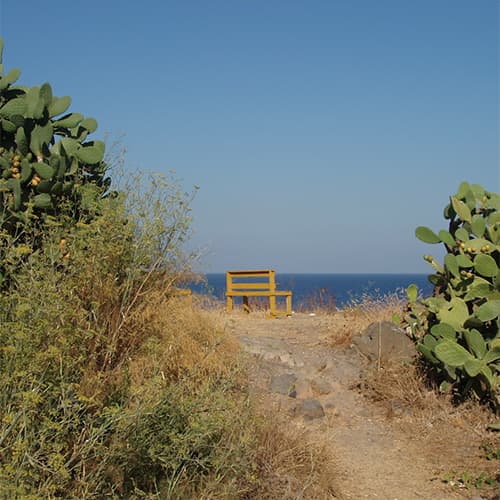 Isole e biodiversità