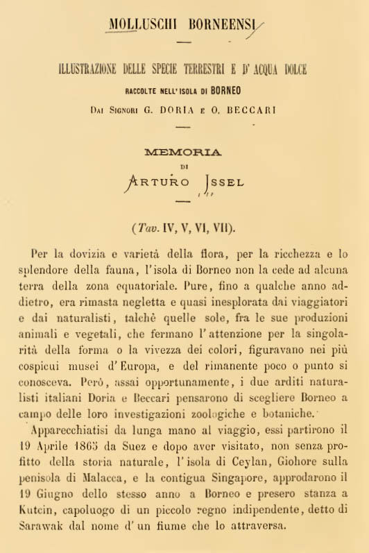 Frontespizio del volume “Molluschi Borneensi: Illustrazione Delle Specie Terrestri e d'Acqua Dolce, Raccolte nell'Isola di Borneo dai Signori G. Doria E O. Beccari” di Arturo Issel (1874).