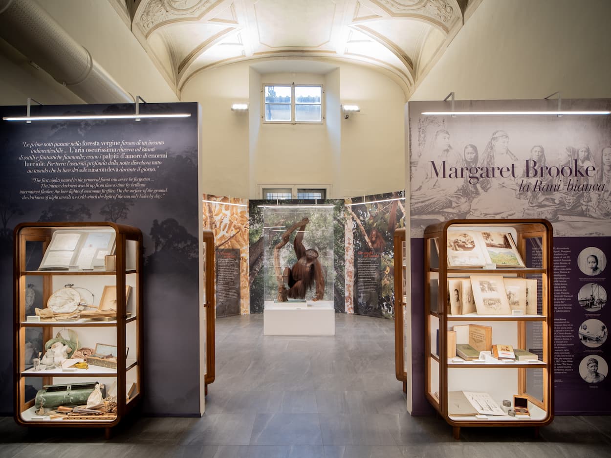 Mostra Odoardo Beccari - sala Specola