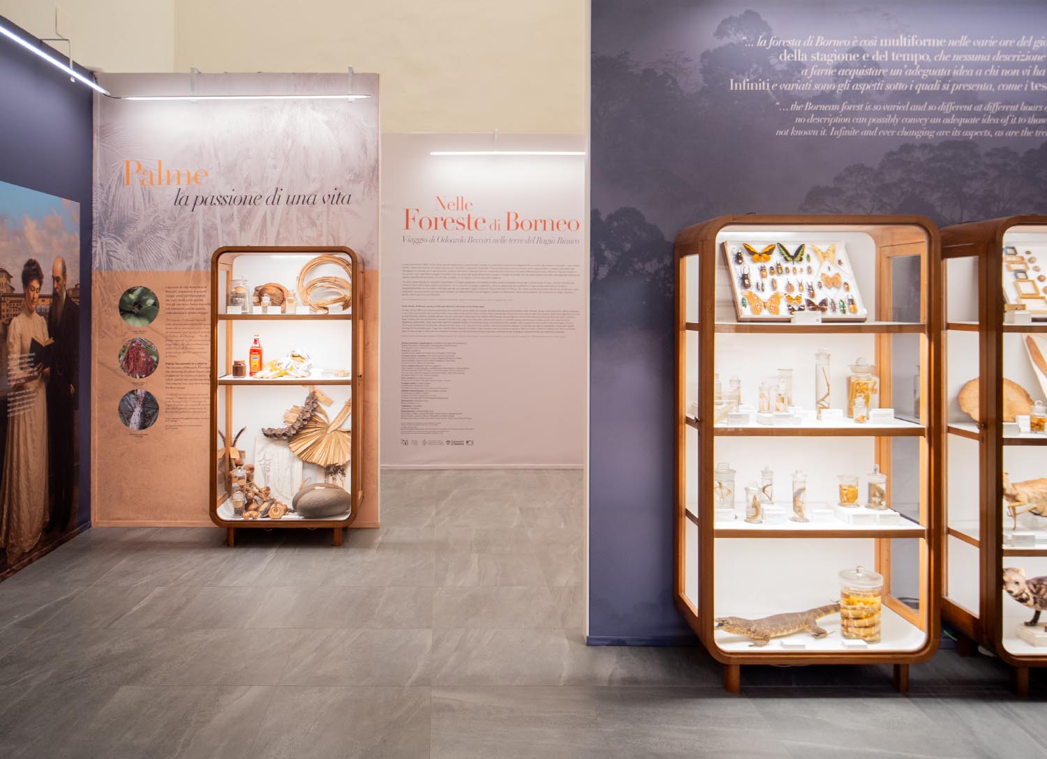 Mostra Odoardo Beccari - sala Specola