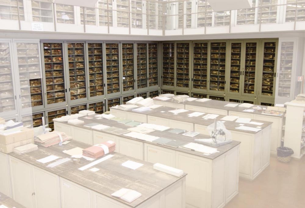 Stanza dell’Erbario Centrale Italiano di Firenze dove attualmente è conservato l’Herbarium Palmarum di Beccari, tratta da “Il Museo di storia Naturale dell’Università degli Studi di Firenze: le collezioni botaniche” a cura di Mauro Raffaelli, Firenze University Press, 2009 