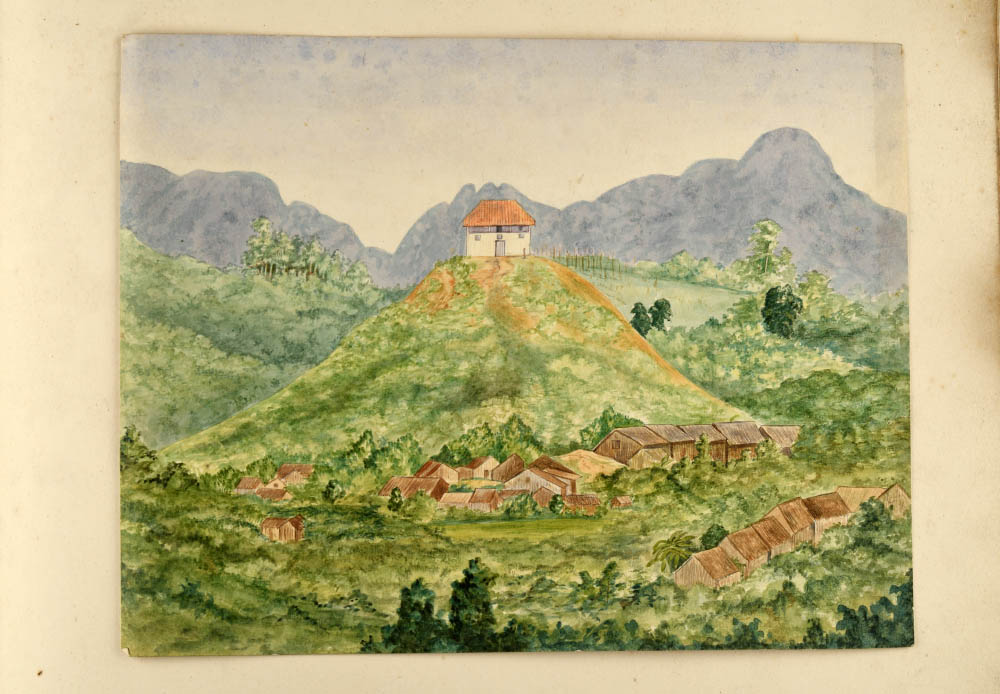 Scrapbook di Margaret Brooke (inedito) 1897, Museo di Storia Naturale di Firenze, collezione di Botanica