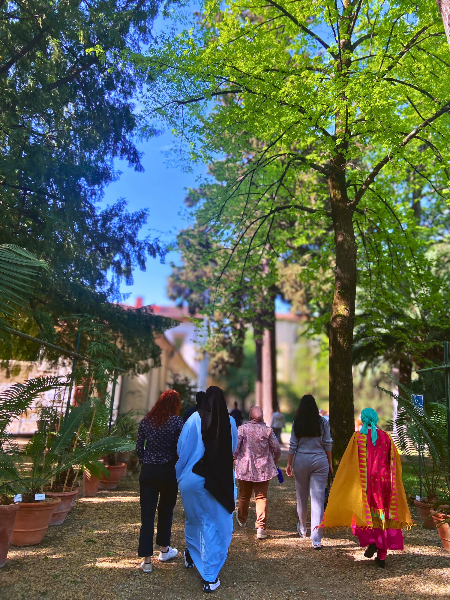 La quinta avanzata