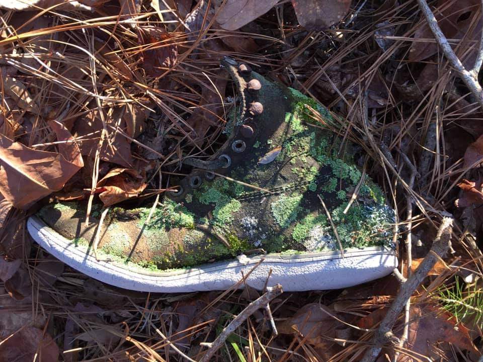 Licheni che sono riusciti a crescere su una scarpa abbandonata