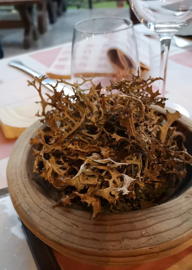 Zuppa di Cetraria islandica L., foto di Renato Benesperi