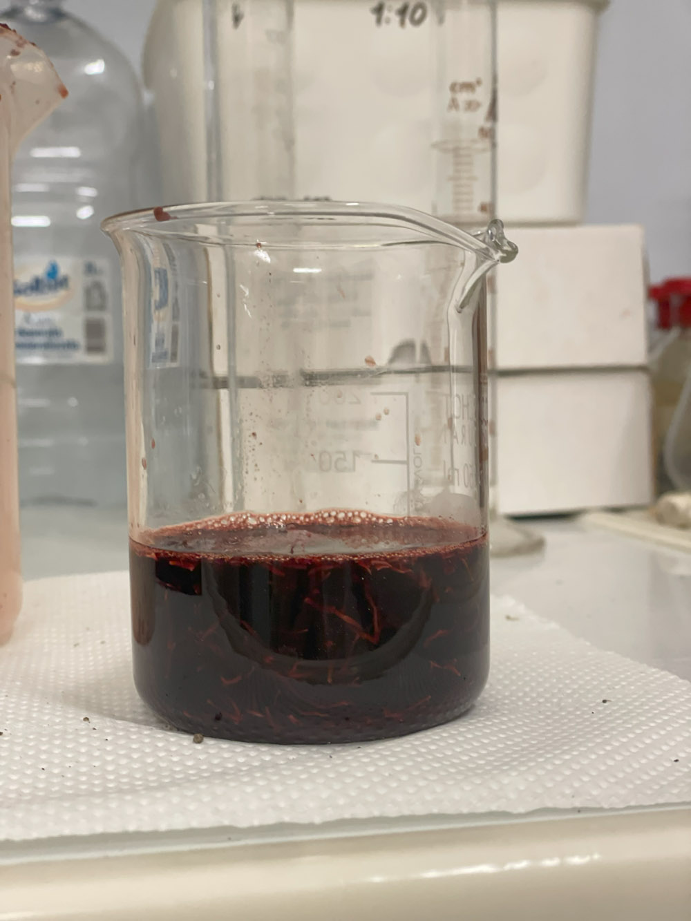 Colorante porpora ottenuto per macerazione in ammoniaca