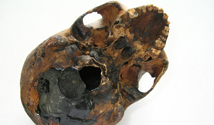 cranio egizio