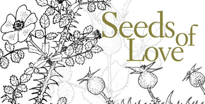 Seeds_of_love
