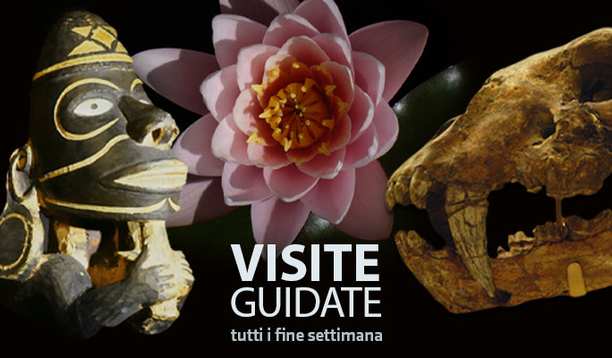 visite_guidate