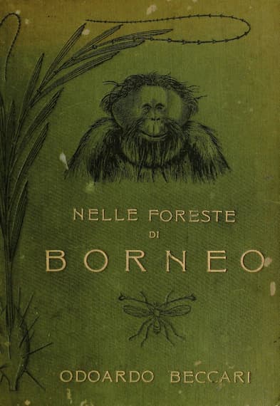 nelle-foreste-di-borneo-beccari-copertina