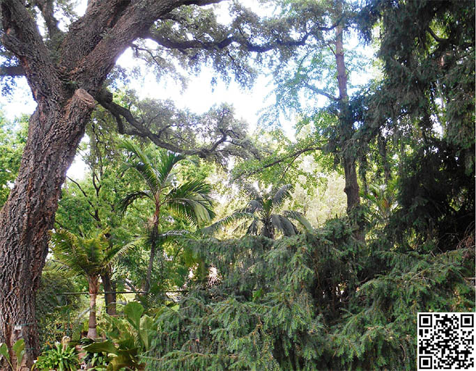 ortobotanicofirenze_luoghicuore