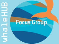 focus group