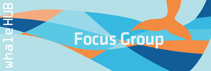 Focus Group
