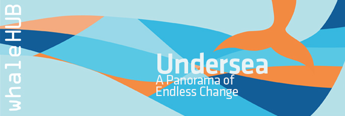 Undersea | A Panorama of Endless Change
